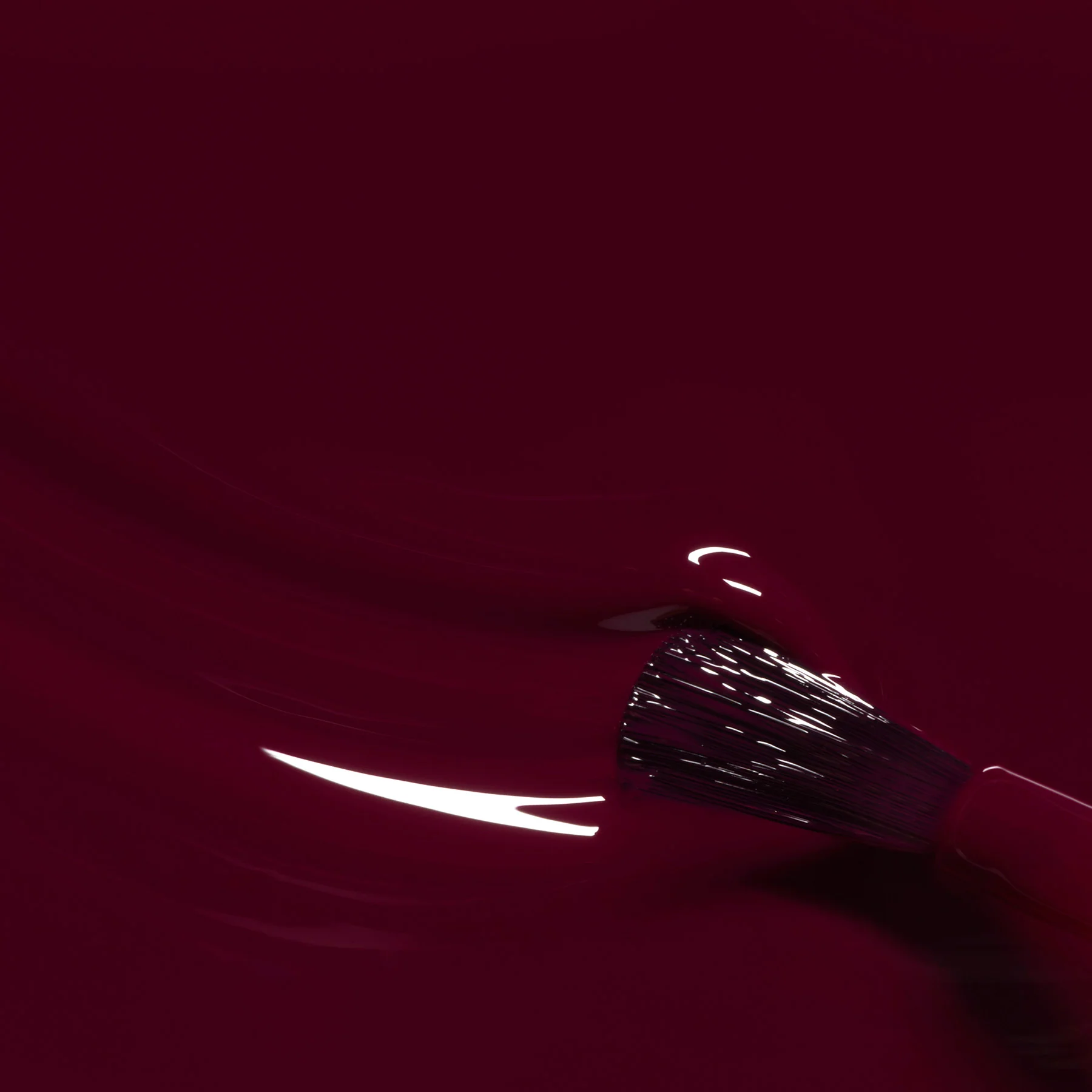 18-prune-5.webp Prune