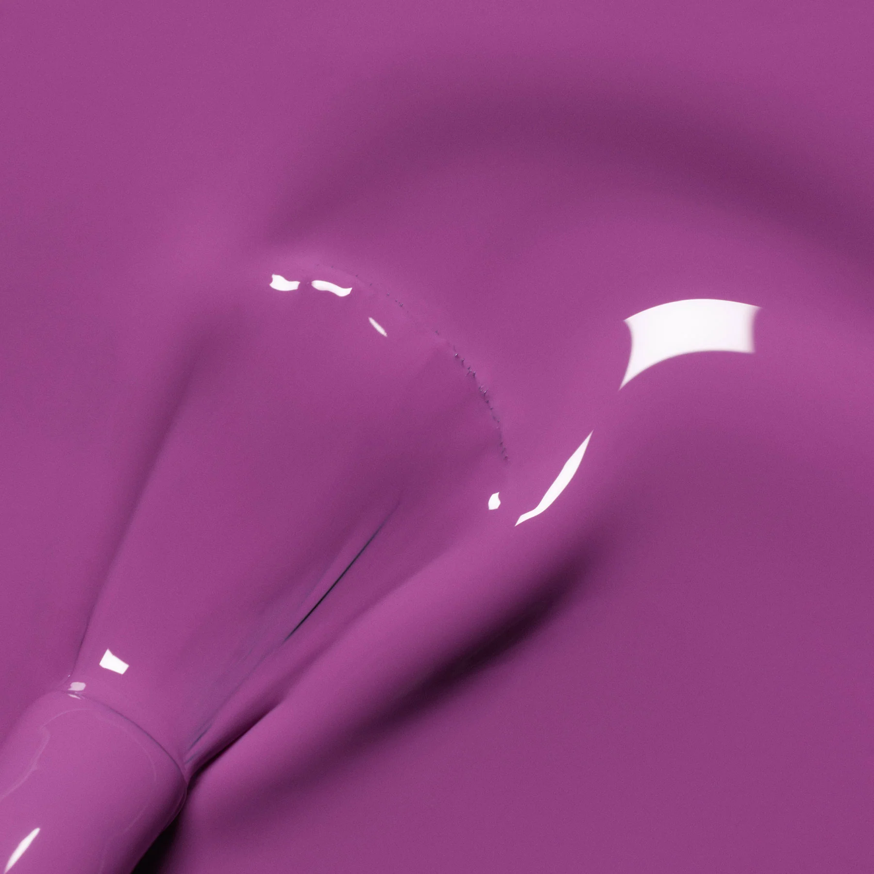 555-violette-4.webp Violette