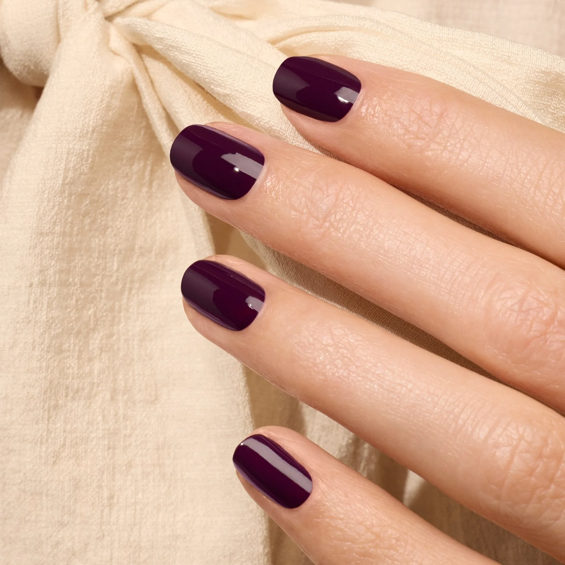 576-aubergine-2.webp Aubergine