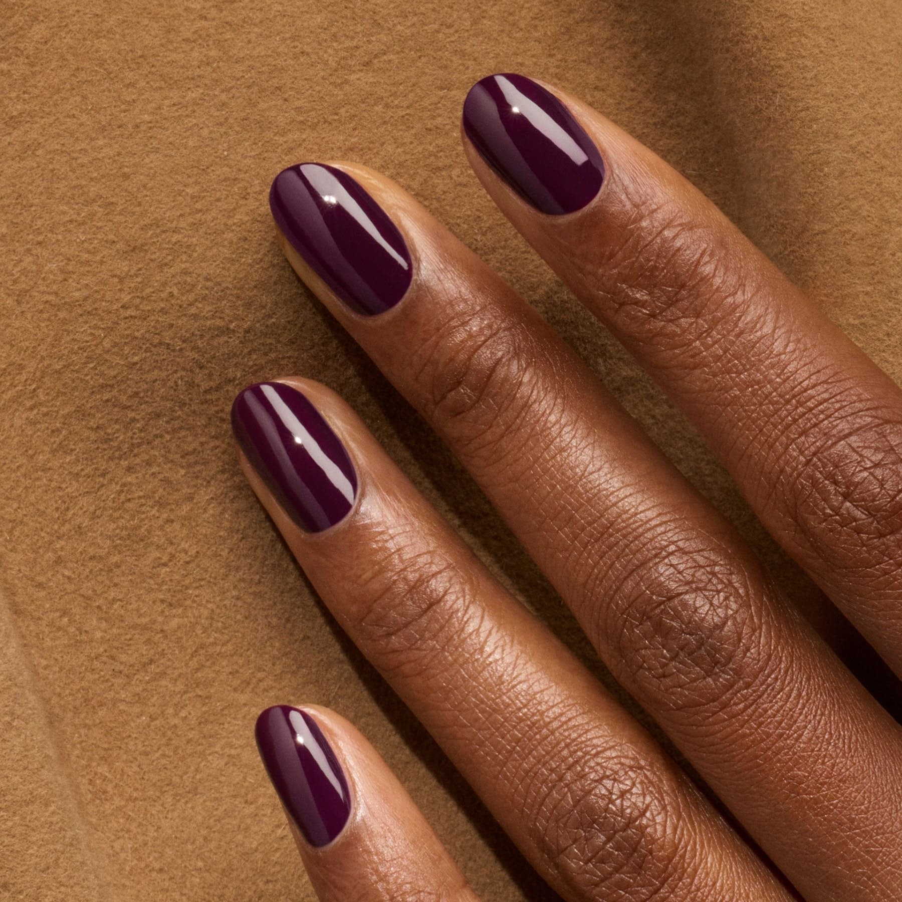 576-aubergine-3.jpg Aubergine
