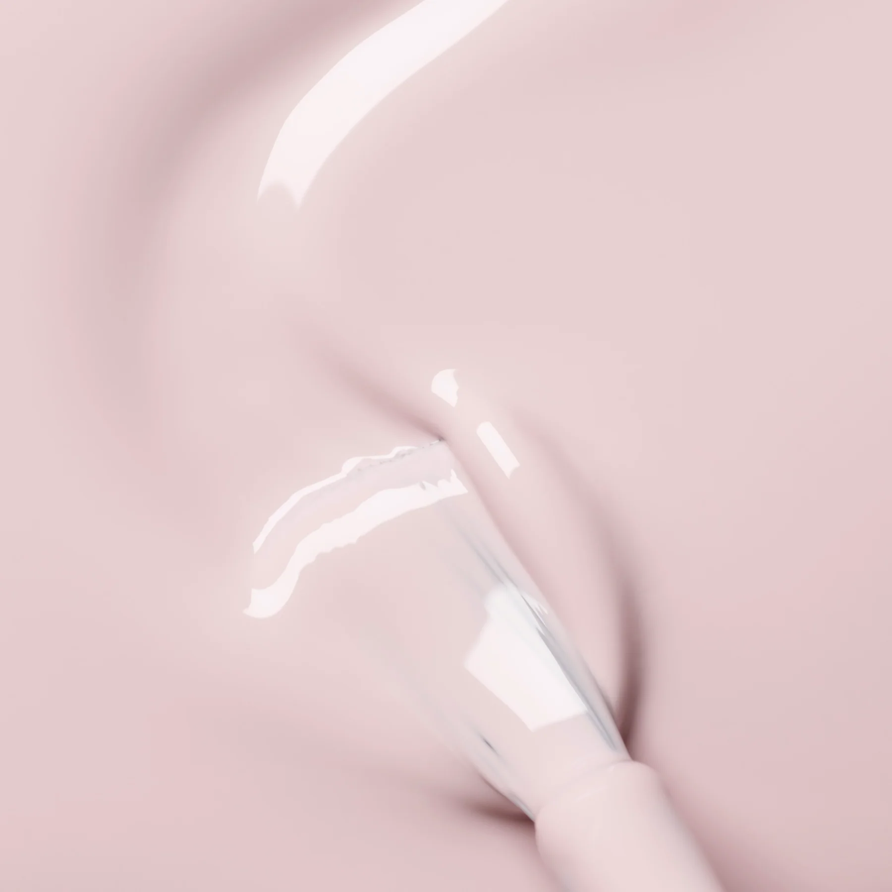 583-blossom-5.webp Blossom