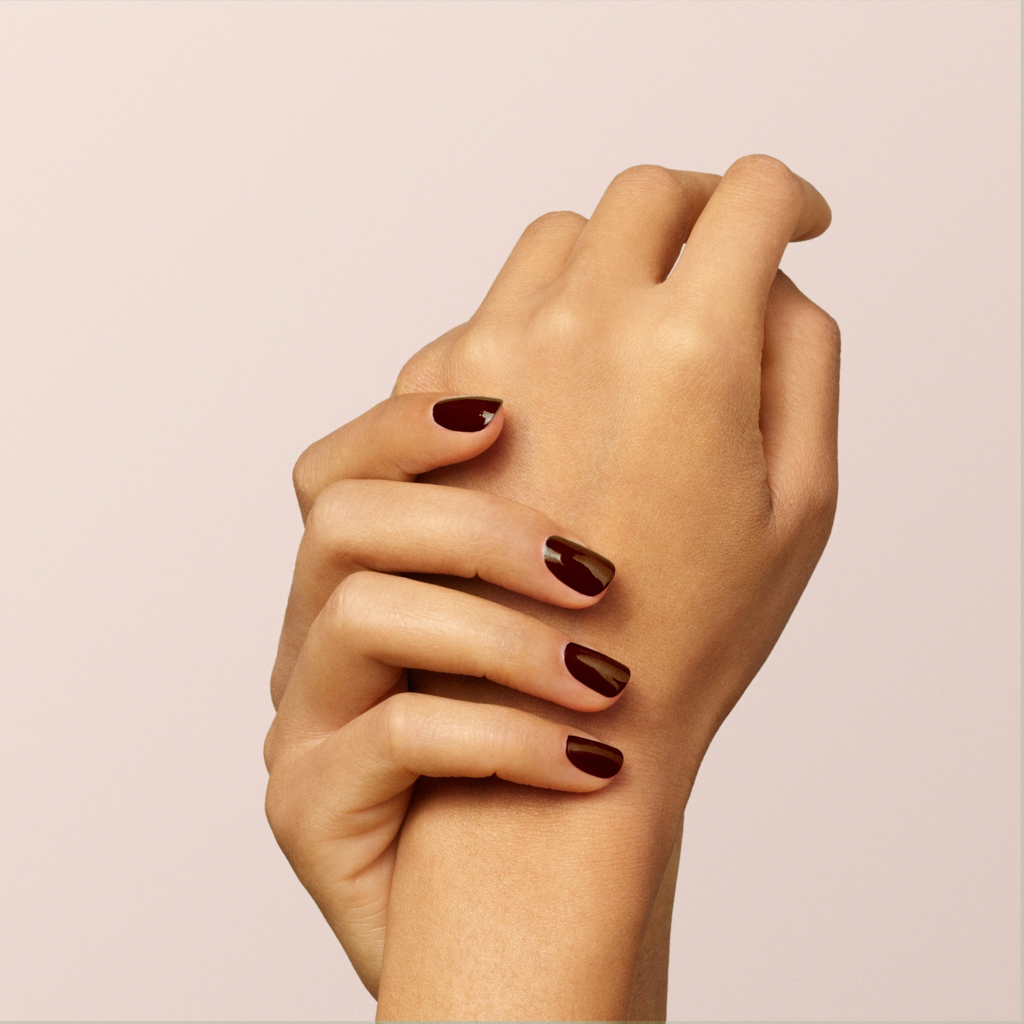 600-clove-11.webp Clove