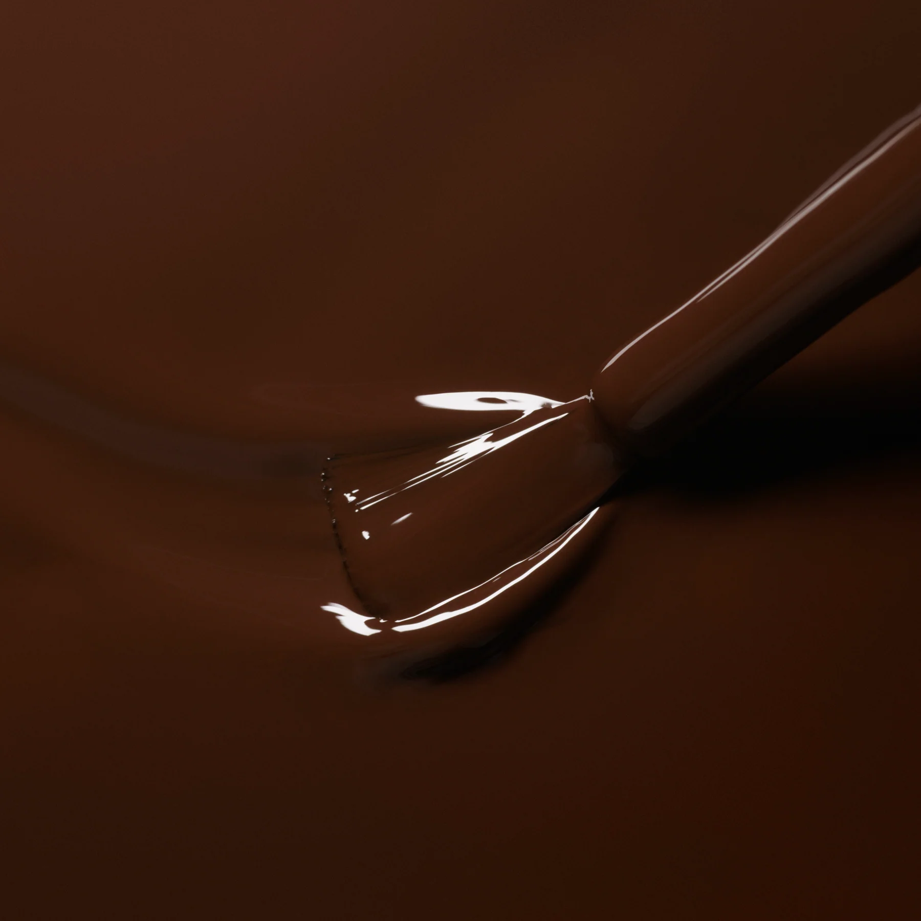 600-clove-4.webp Clove