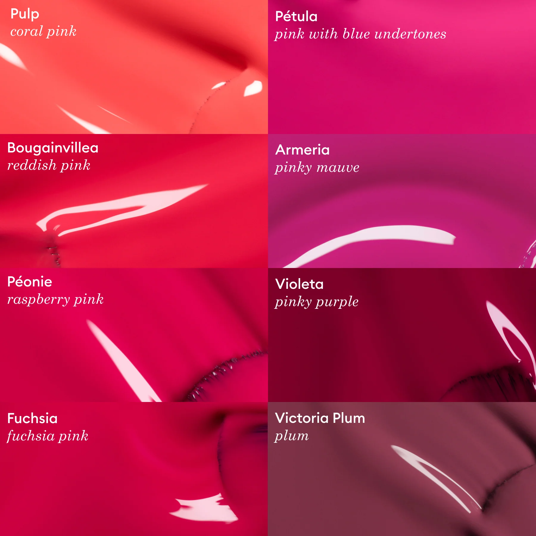 623-fuchsia-4.webp Fuchsia