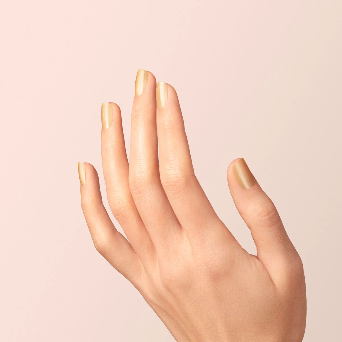 629-gold-sand-10.webp Gold Sand