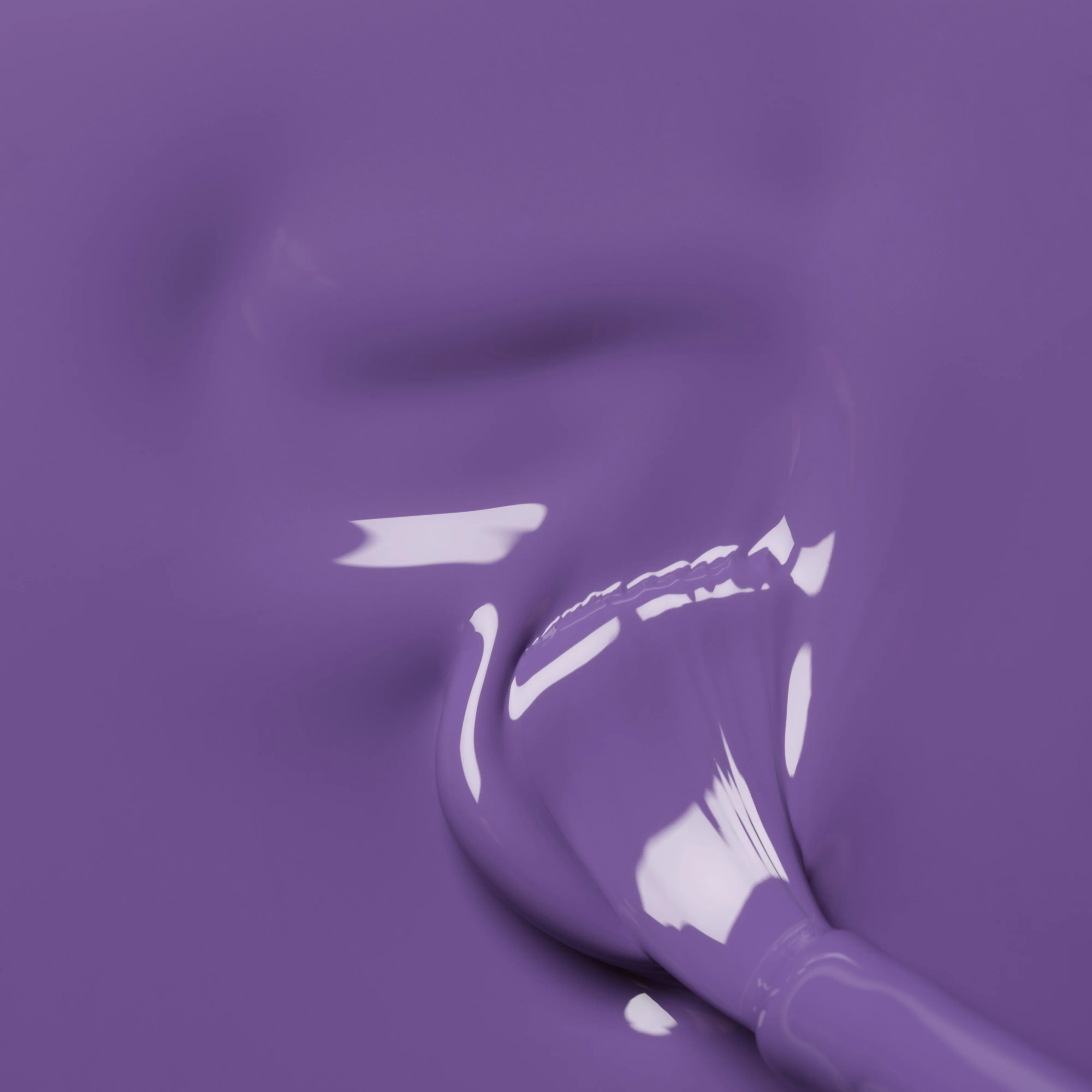 636-iris-3.webp Iris