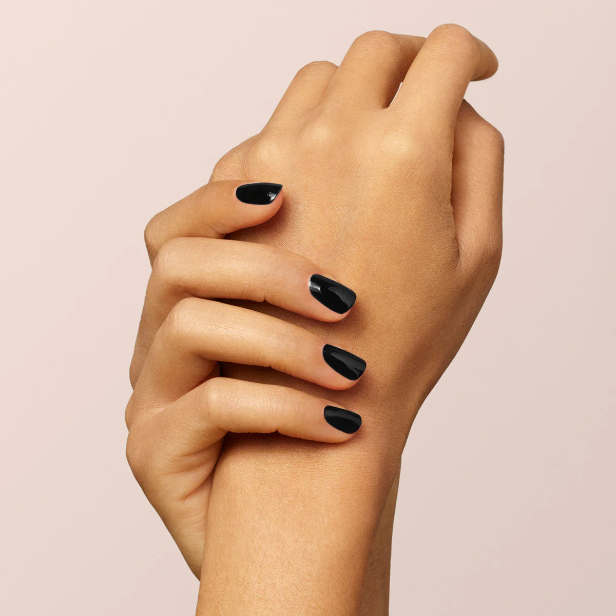 644-licorice-14.webp Licorice