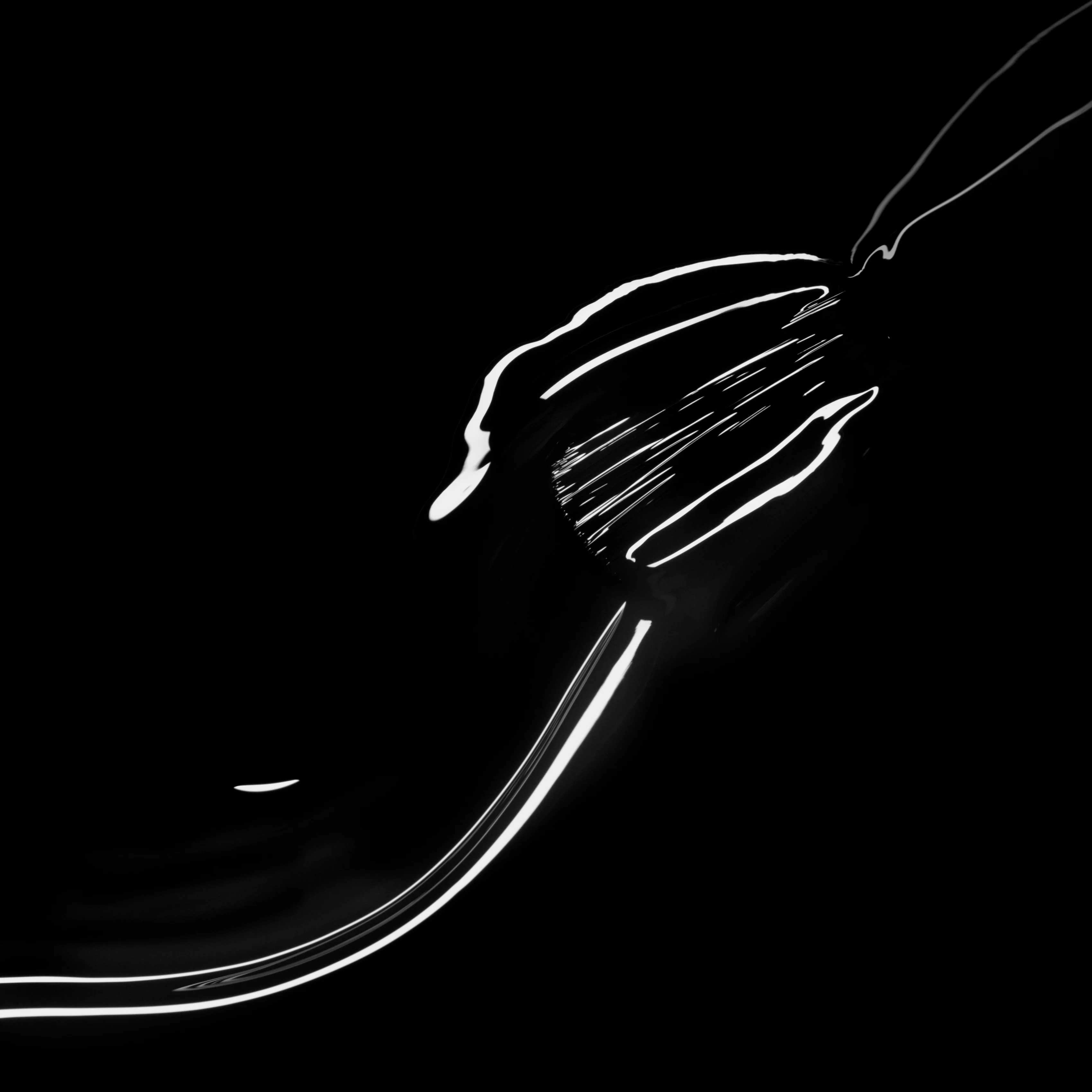 644-licorice-5.webp Licorice