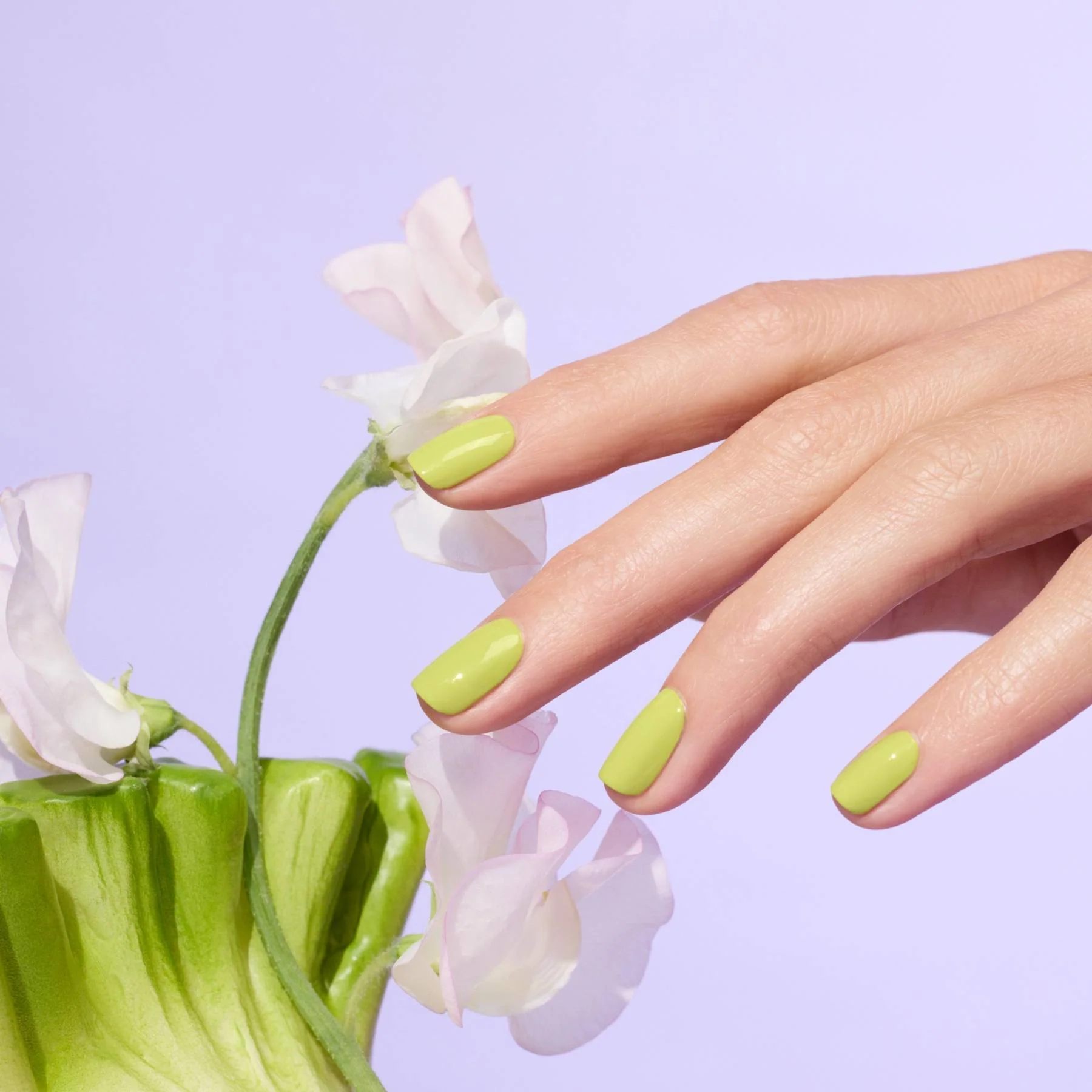 649-lime-5.webp Lime