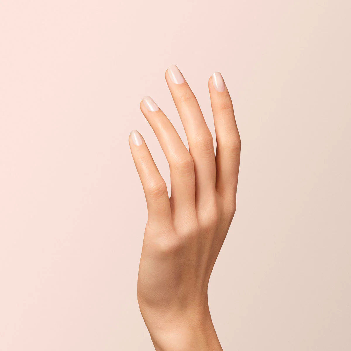 655-milky-white-11.webp Milky White