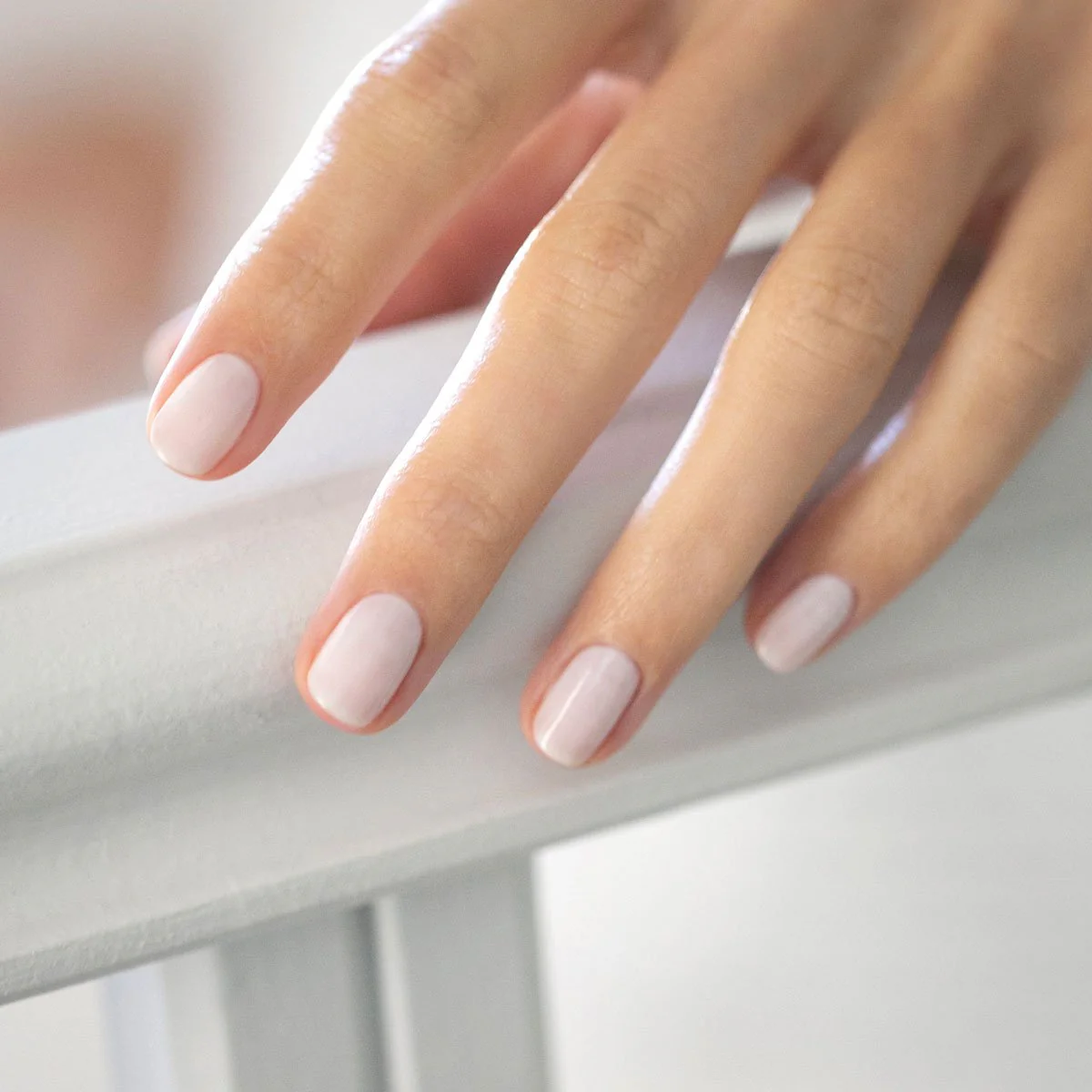 655-milky-white-7.webp Milky White