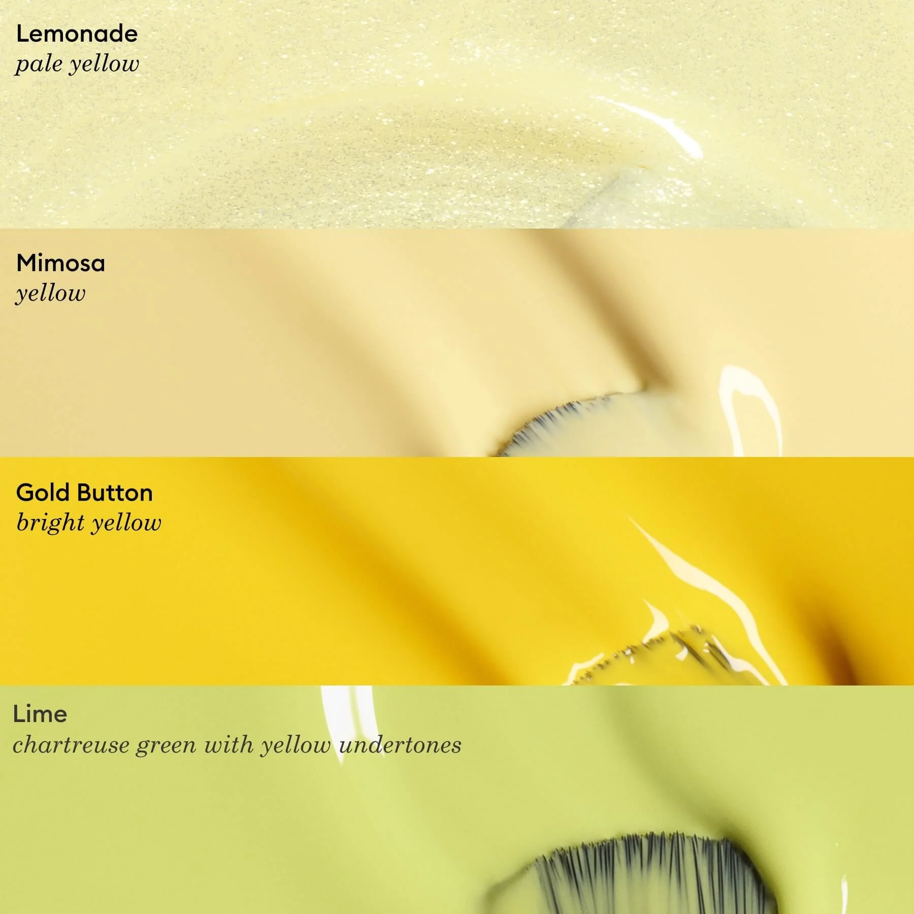 657-mimosa-5.webp Mimosa