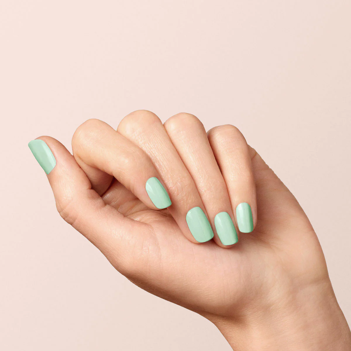 658-mint-6.webp Mint