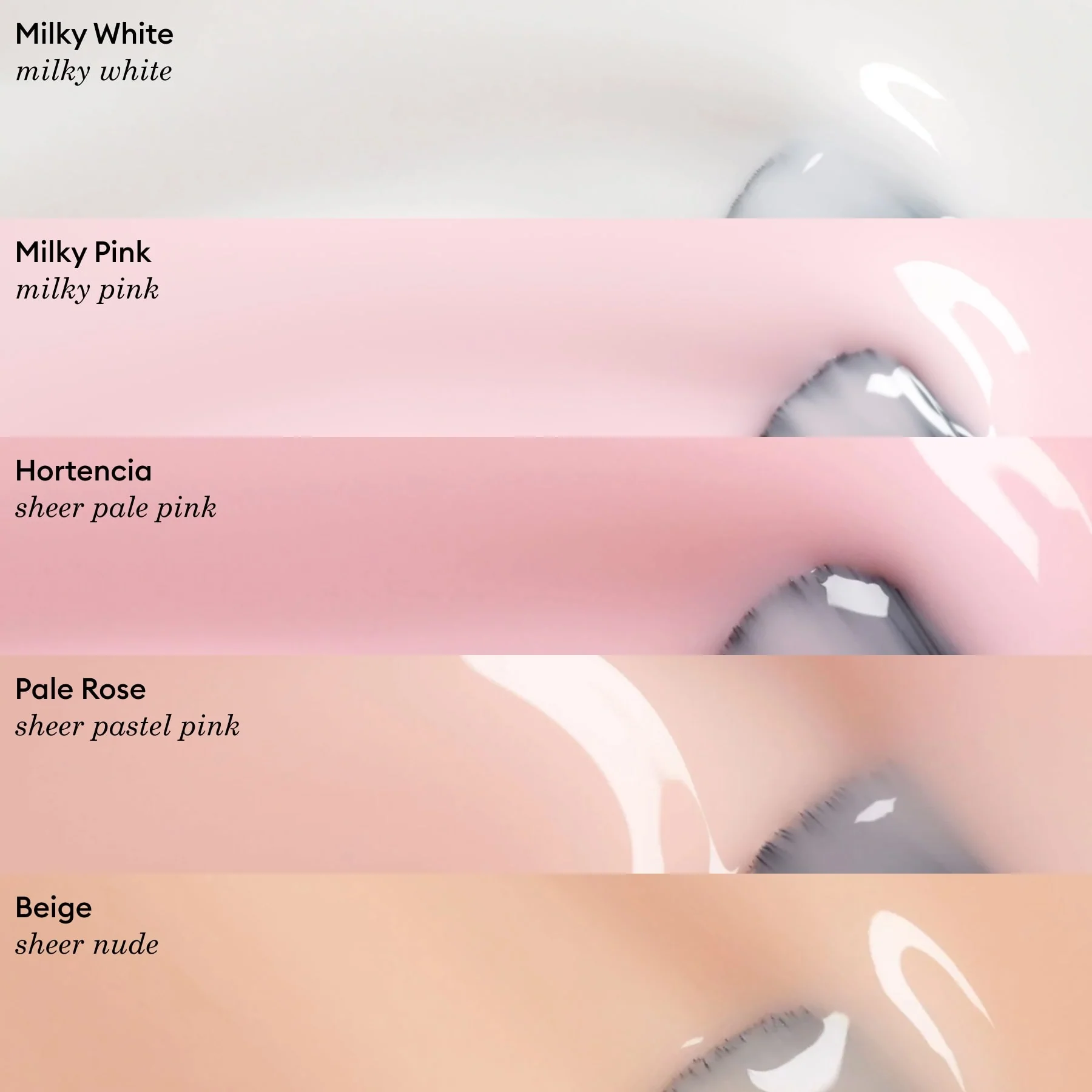 669-pale-rose-6.webp Pale Rose