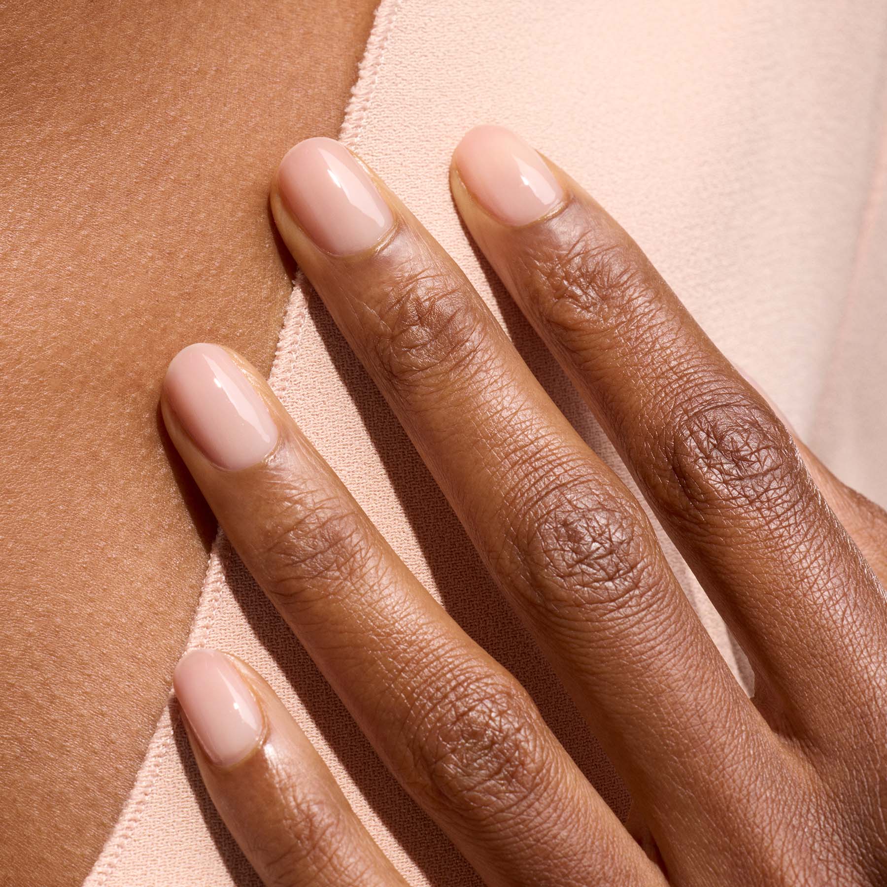 669-pale-rose-8.jpg Pale Rose