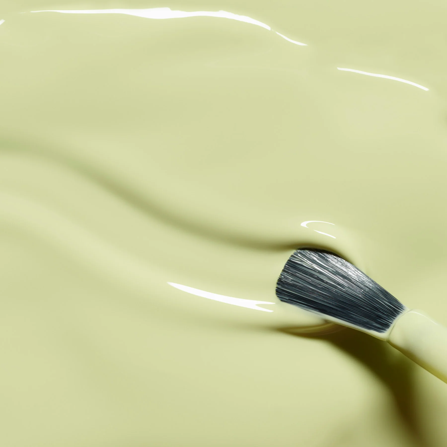 682-pistachio-5.webp Pistachio