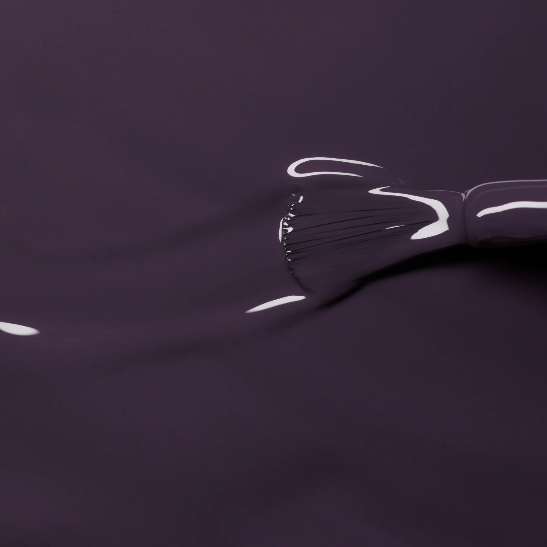 694-queen-of-night-5.webp Queen of Night