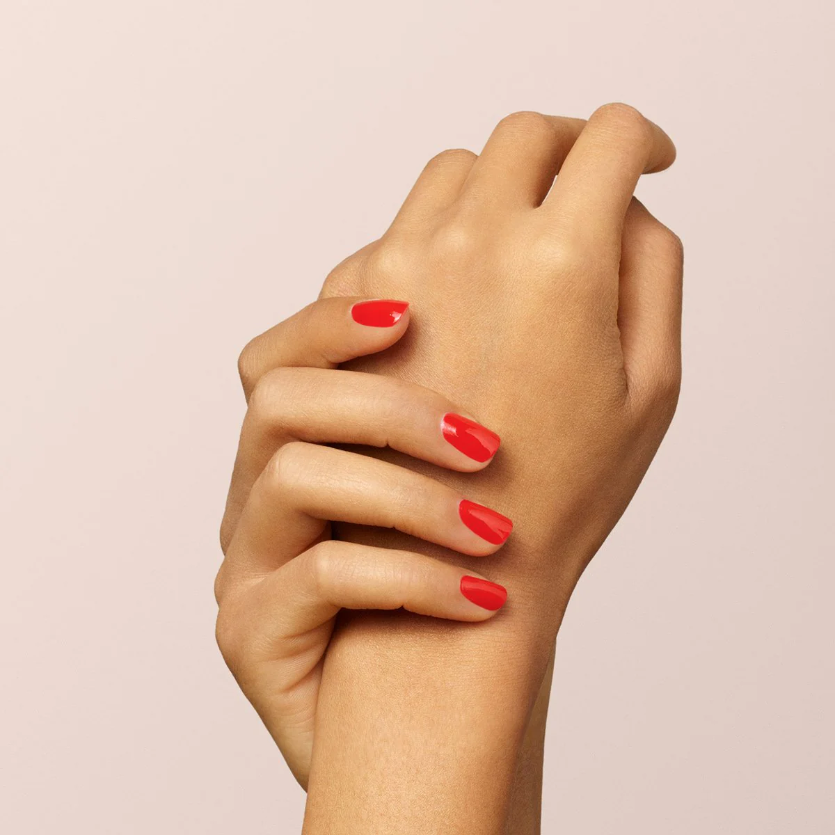 697-red-coral-9.webp Red Coral