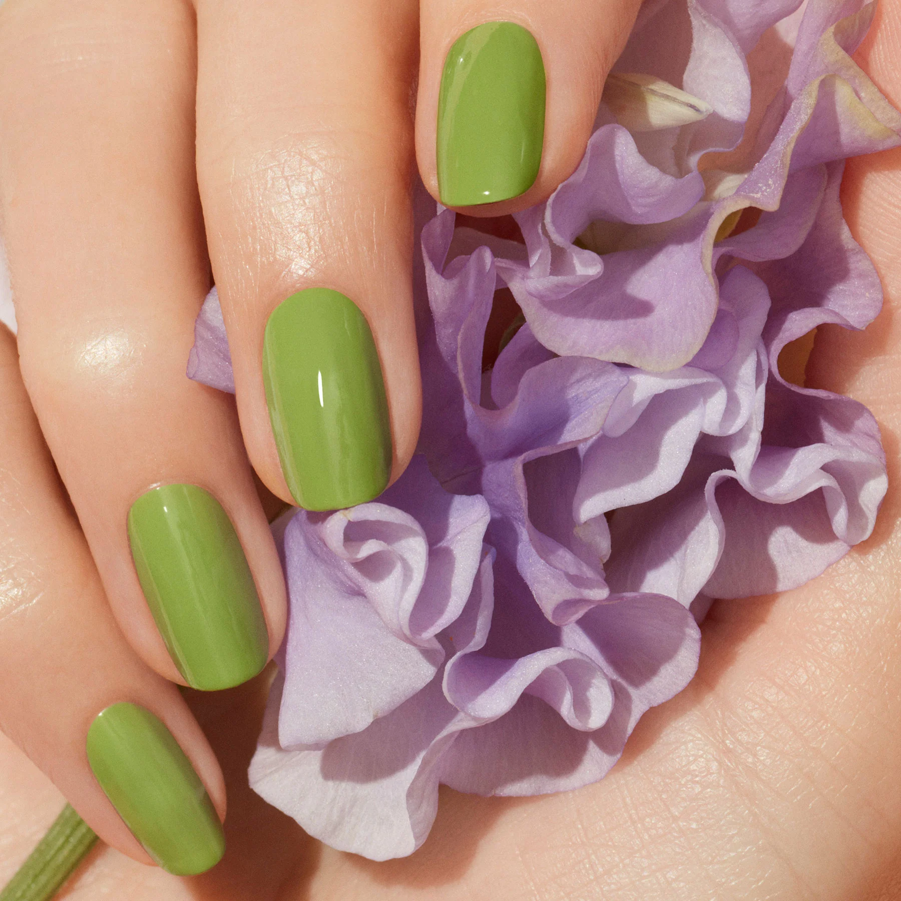 721-sweet-pea-2.webp Sweet Pea