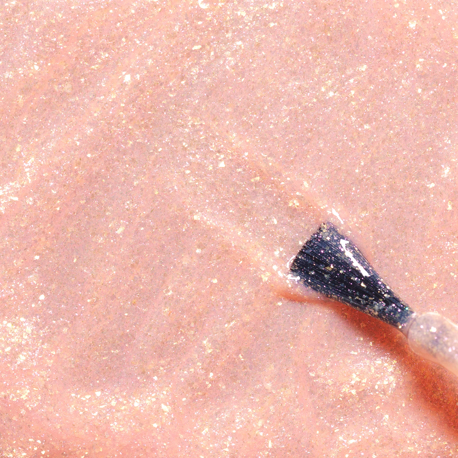 749-stella-the-starfish-2.webp Stella the Starfish